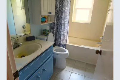 3002 S Rose Avenue, Inverness, FL 34450 - Photo 40