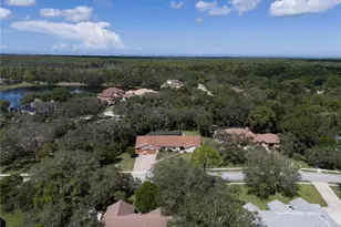 4603 Lake in the Woods Dr, Spring Hill, FL 34607 - Photo 48