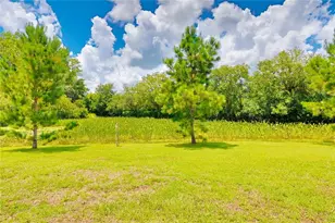 7031 Moss Ledge, Land O Lakes, FL 34637 - Photo 32