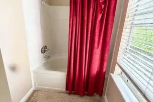 13020 Lorna Pl, Tampa, FL 33618 - Photo 32