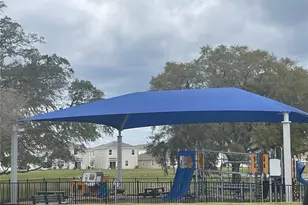 10232 Trumpet Honeysuckle Wy, San Antonio, FL 33576 - Photo 34