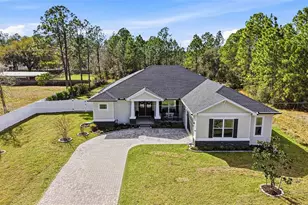 8001 Woodleaf Blvd, Wesley Chapel, FL 33544 - Photo 1