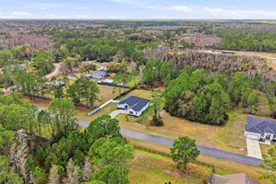 8001 Woodleaf Blvd, Wesley Chapel, FL 33544 - Photo 52