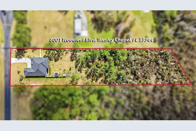 8001 Woodleaf Boulevard, Wesley Chapel, FL 33544 - Photo 48