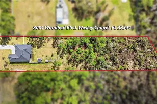 8001 Woodleaf Blvd, Wesley Chapel, FL 33544 - Photo 48