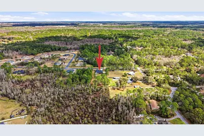 8001 Woodleaf Boulevard, Wesley Chapel, FL 33544 - Photo 58