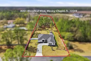 8001 Woodleaf Blvd, Wesley Chapel, FL 33544 - Photo 2