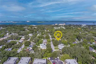 630 Magnolia St, Dunedin, FL 34698 - Photo 54
