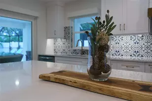 630 Magnolia St, Dunedin, FL 34698 - Photo 22