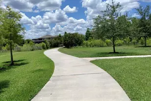 33034 Sand Creek Dr, Wesley Chapel, FL 33543 - Photo 56