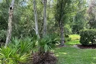 4224 Preserve Pl, Palm Harbor, FL 34685 - Photo 10