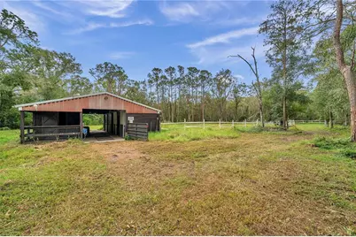 655 Appaloosa Road, Tarpon Springs, FL 34688 - Photo 12