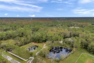 655 Appaloosa Rd, Tarpon Springs, FL 34688 - Photo 1