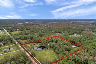 655 Appaloosa Rd, Tarpon Springs, FL 34688 - Photo 2