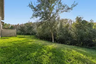 4155 Barletta Ct, Wesley Chapel, FL 33543 - Photo 38