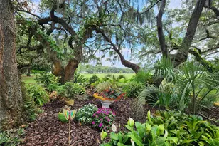 37407 Sandra Ave, Zephyrhills, FL 33542 - Photo 66