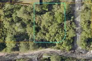 Tbd Aster Terrace, Deland, FL 32724 - Photo 1