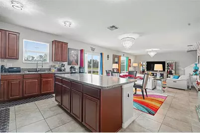 17206 White Mangrove Drive, Wimauma, FL 33598 - Photo 10