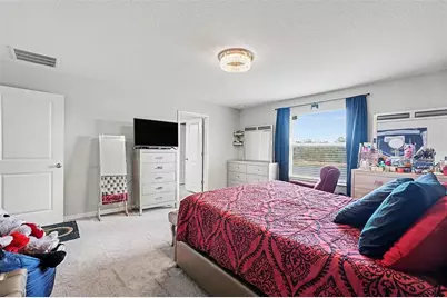 17206 White Mangrove Drive, Wimauma, FL 33598 - Photo 14