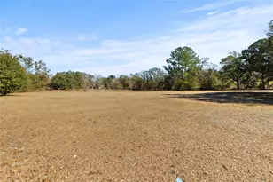 4815 1/2 Deeson Rd, Lakeland, FL 33810 - Photo 2