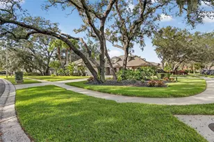 133 Barrington Dr, Brandon, FL 33511 - Photo 78