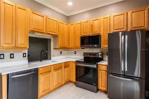 21032 Picasso Ct, Land O Lakes, FL 34637 - Photo 6