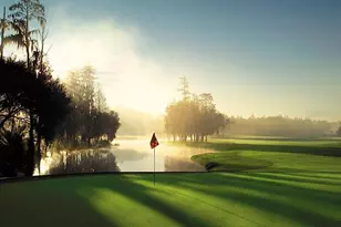 36750 US Hwy 19, Palm Harbor, FL 34684 - Photo 70