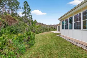 1737 Sassafras Dr, Wesley Chapel, FL 33543 - Photo 38