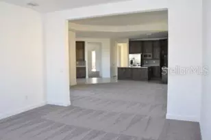 2471 Coco Palm Cir, Wesley Chapel, FL 33543 - Photo 18