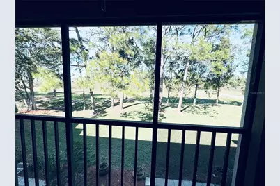 106 Meadow Lane, Oldsmar, FL 34677 - Photo 12