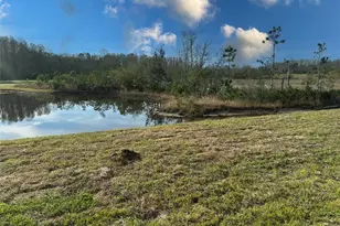 11450 Crescent Deer Dr, Land O Lakes, FL 34638 - Photo 24