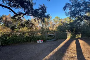 12118 Bay Tree Dr, Riverview, FL 33569 - Photo 48