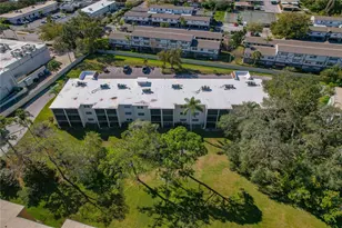 1375 Doolittle Ln, Dunedin, FL 34698 - Photo 44