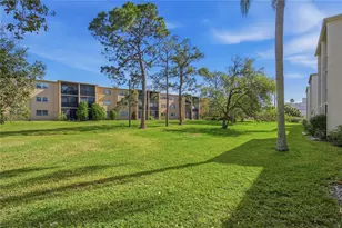 1375 Doolittle Ln, Dunedin, FL 34698 - Photo 32