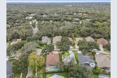 15129 Shearcrest Drive, Lithia, FL 33547 - Photo 46