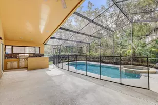 15129 Shearcrest Dr, Lithia, FL 33547 - Photo 40