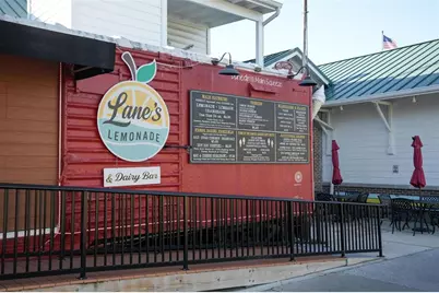 2214 Davies Avenue, Dunedin, FL 34698 - Photo 60