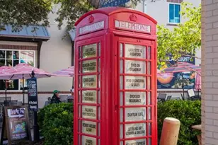 2214 Davies Ave, Dunedin, FL 34698 - Photo 74