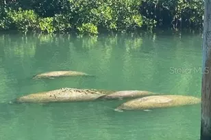 1355 Pinellas Bayway S, Tierra Verde, FL 33715 - Photo 2