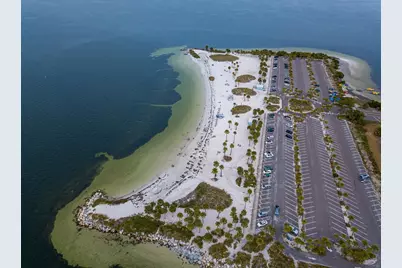 372 Moorings Cove Drive #372, Tarpon Springs, FL 34689 - Photo 2