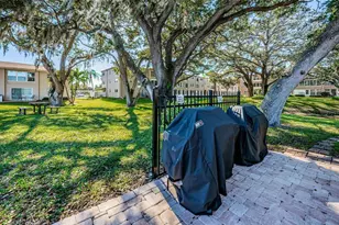 920 Virginia St, Dunedin, FL 34698 - Photo 64
