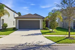 5161 White Chicory Dr, Apollo Beach, FL 33572 - Photo 1