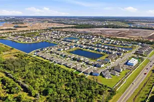 5161 White Chicory Dr, Apollo Beach, FL 33572 - Photo 46