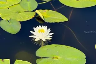 2814 W Humphrey St, Tampa, FL 33614 - Photo 4