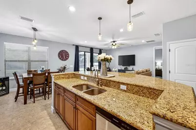 20308 Ash Grove Lane, Tampa, FL 33647 - Photo 14