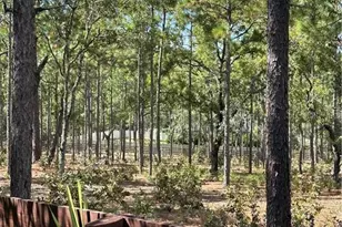 4295 N Bridger Dr, Beverly Hills, FL 34465 - Photo 82