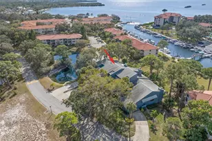12 Mariner Dr, Tarpon Springs, FL 34689 - Photo 54