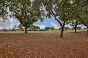 1118 Emerald Dunes Dr, Sun City Center, FL 33573 - Photo 34