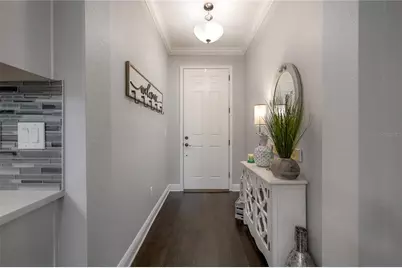 6229 Scarlet Darter Way, Tampa, FL 33625 - Photo 4