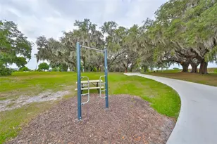 9497 Ibis Grove Blvd, Wesley Chapel, FL 33545 - Photo 60